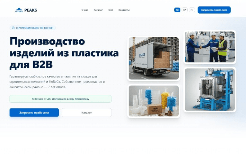 Скриншот hero-секции сайта PEAKS